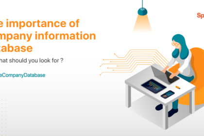 The importance of company information database and what should you look for The importance of company information database and what should you look for