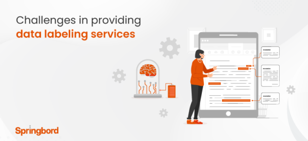 Challenges-in-providing-data-labeling-services-781×391