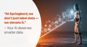 At-Springbord-we-dont-just-label-data-we-elevate-it