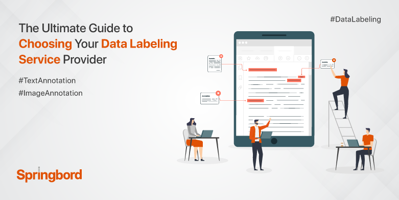 The-Ultimate-Guide-to-Choosing-Your-Data-Labeling-Service-Provider