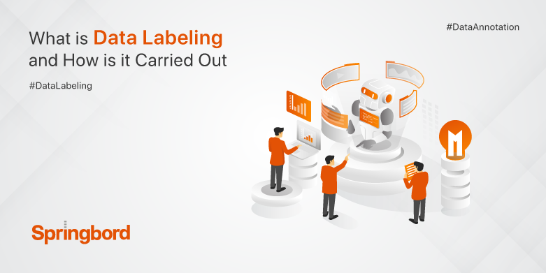 What-is-Data-Labeling-and-How-is-it-Carried-Out