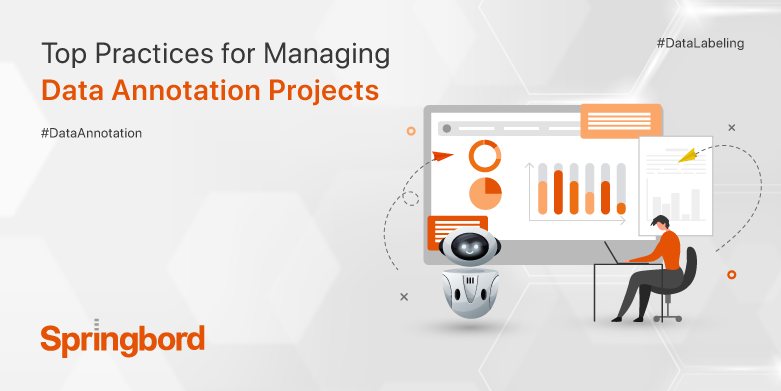 Data Annotation Practices