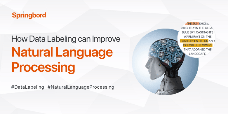 How Data Labeling Can Improve Natural Language Processing