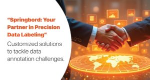 Springbord-Your-Partner-in-Precision-Data-Labeling