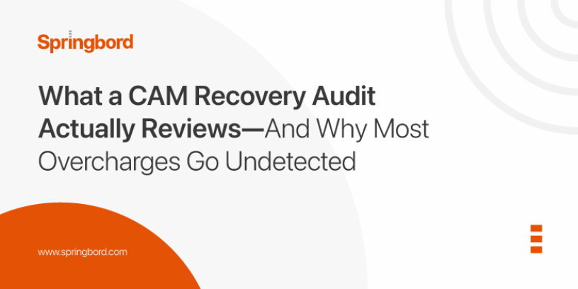 What-a-CAM-Recovery-Audit-Actually-Reviews